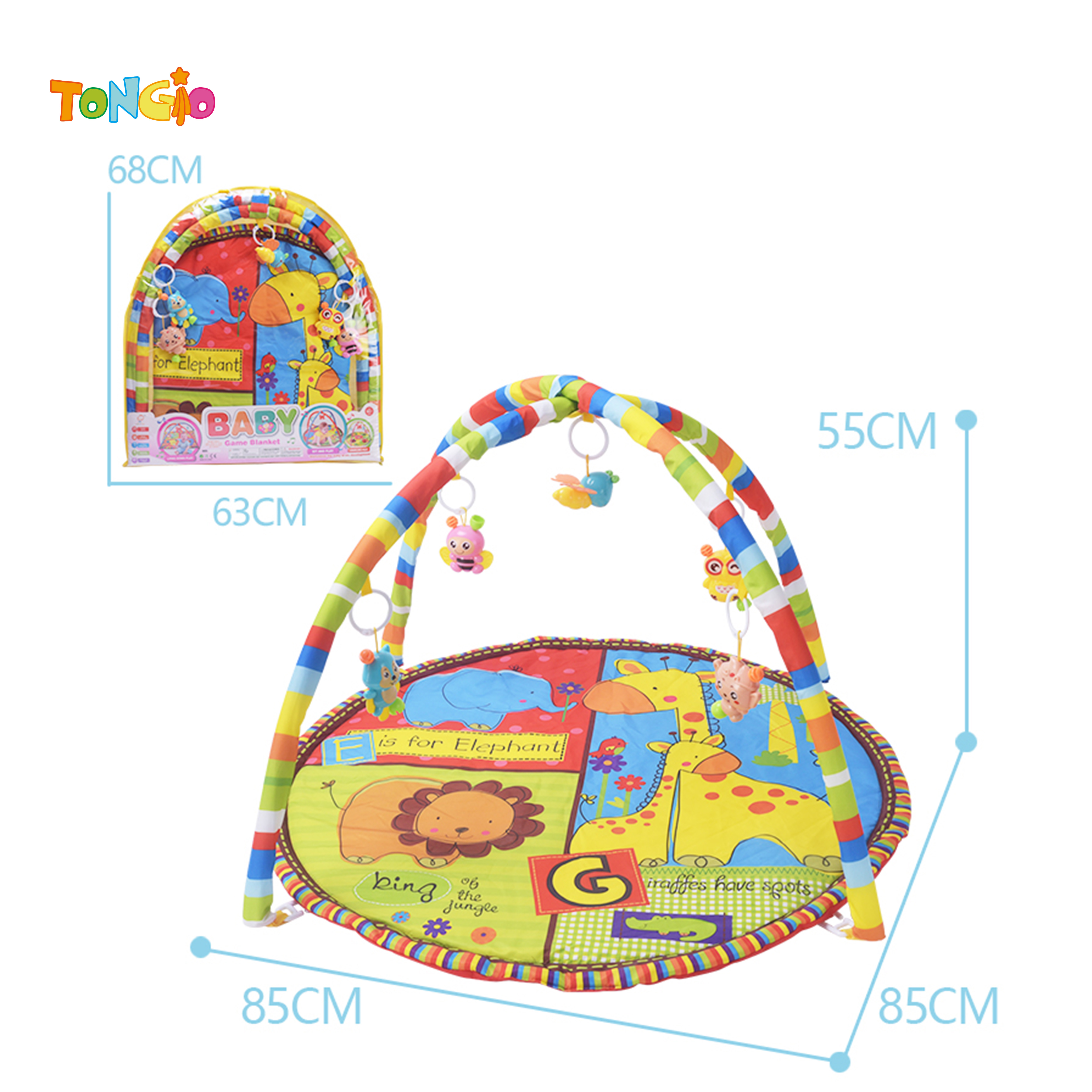 Baby Gym Mat TT20785