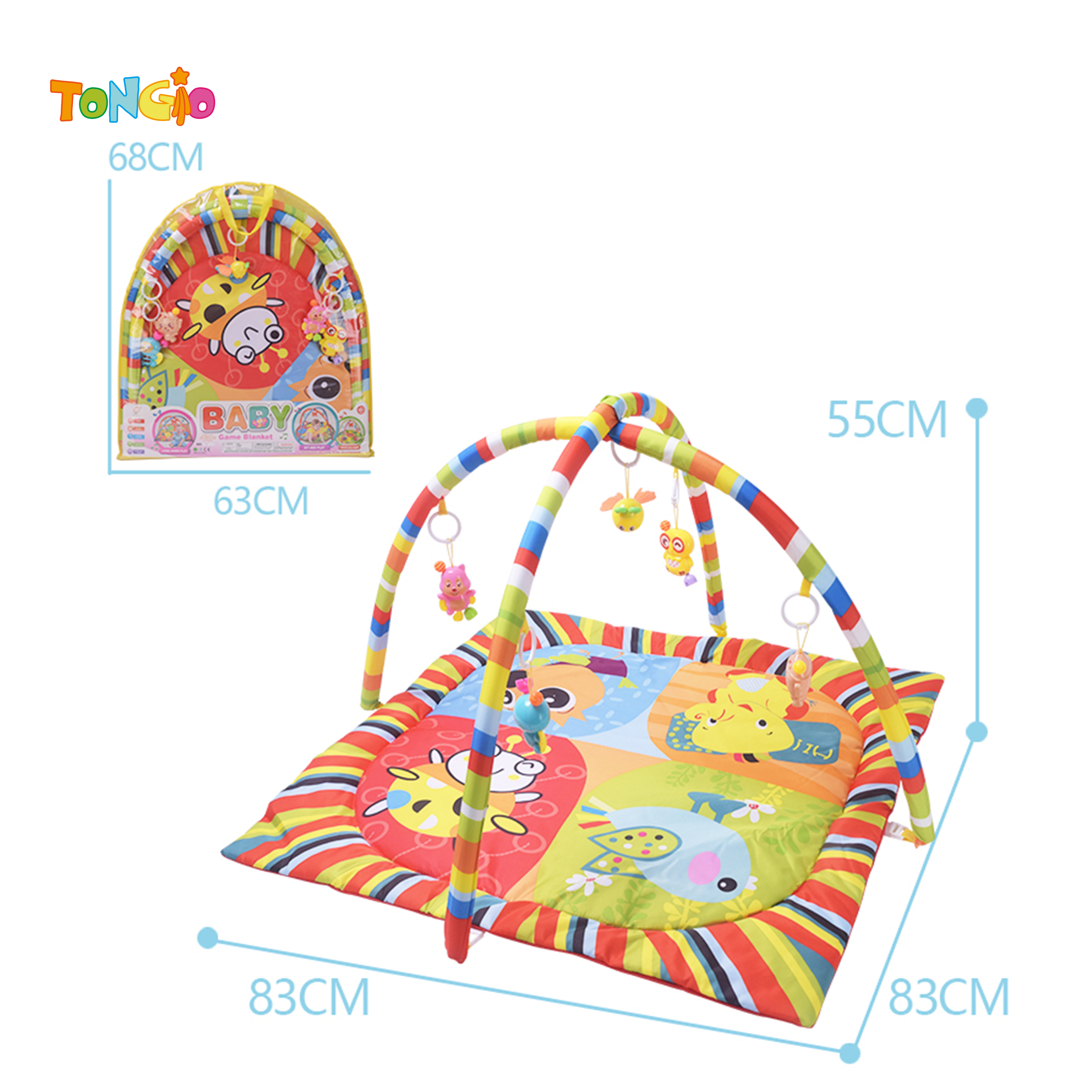 Baby Gym Mat TT20787