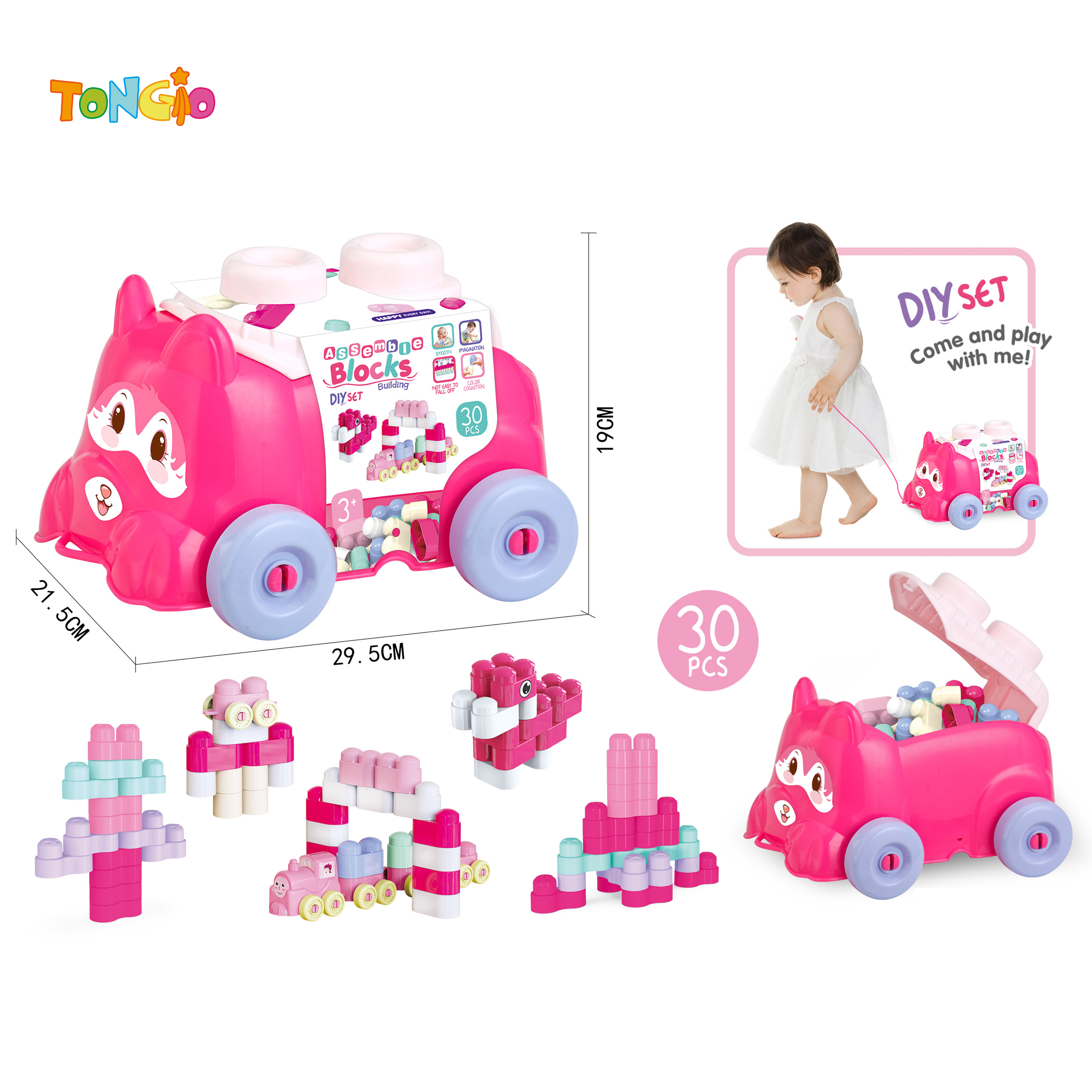 BUILDING BLOCK(30PCS) TT20950