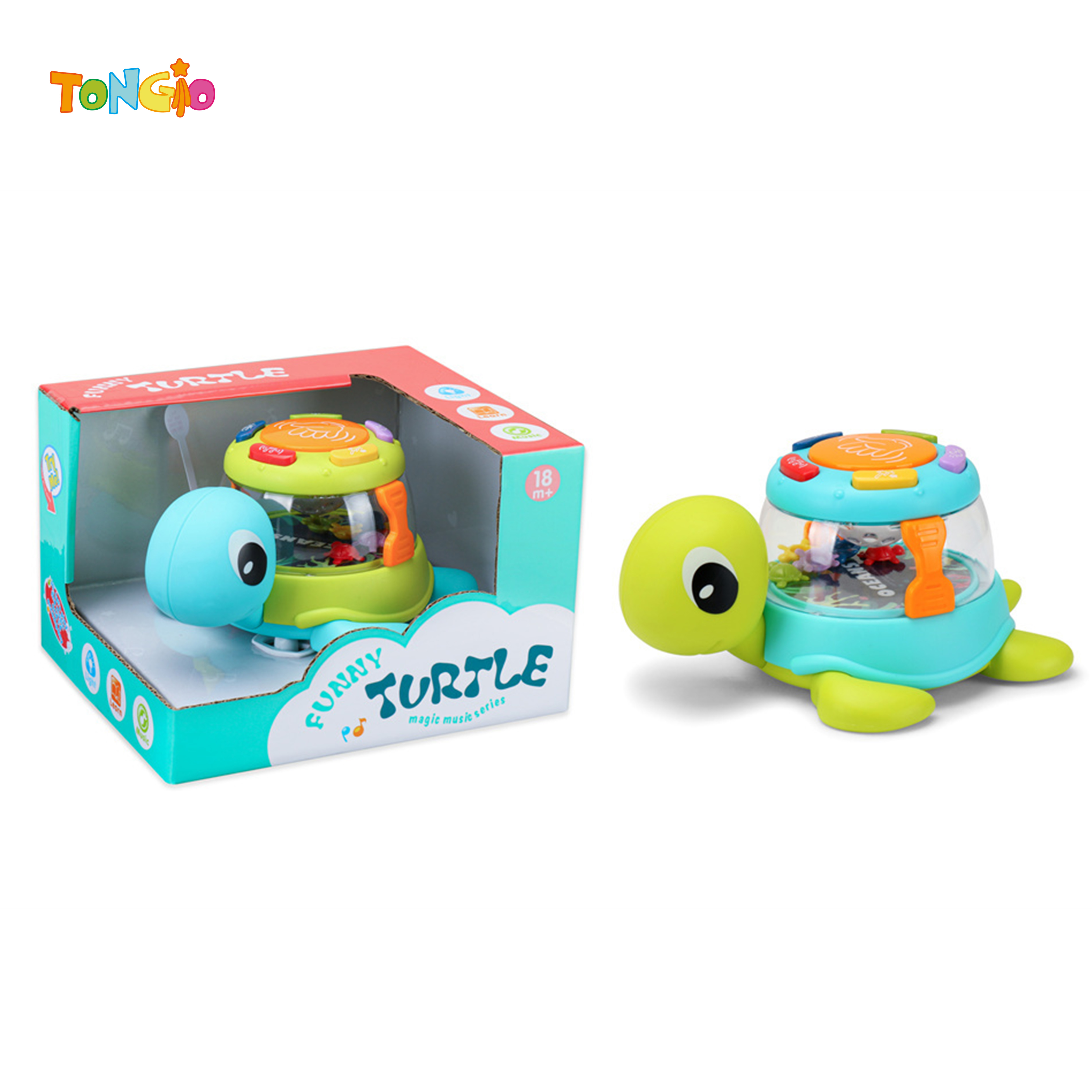 Turtle drum TT21750